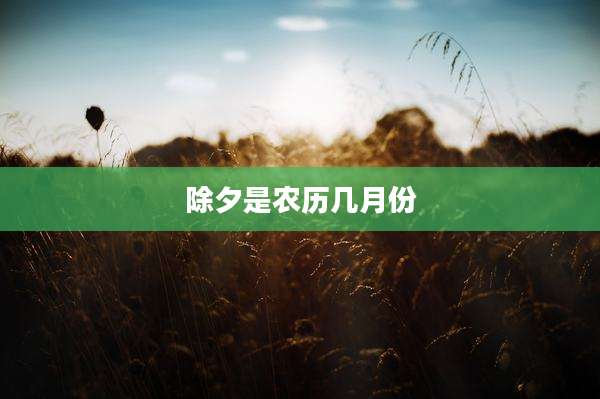 除夕是农历几月份