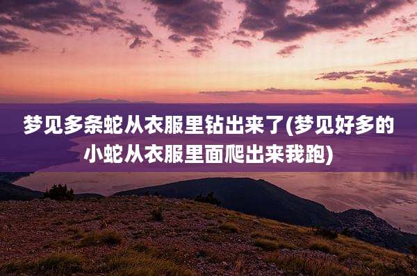 梦见多条蛇从衣服里钻出来了(梦见好多的小蛇从衣服里面爬出来我跑)