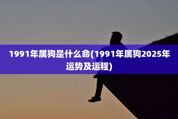 1991年属狗是什么命(1991年属狗2025年运势及运程)