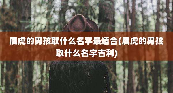 属虎的男孩取什么名字最适合(属虎的男孩取什么名字吉利)