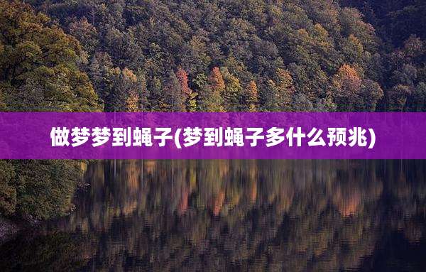 做梦梦到蝇子(梦到蝇子多什么预兆)