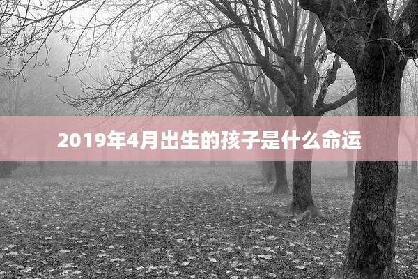 2019年4月出生的孩子是什么命运