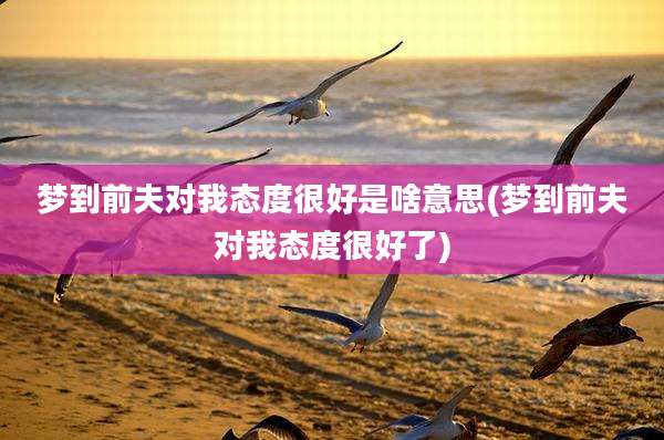 梦到前夫对我态度很好是啥意思(梦到前夫对我态度很好了)