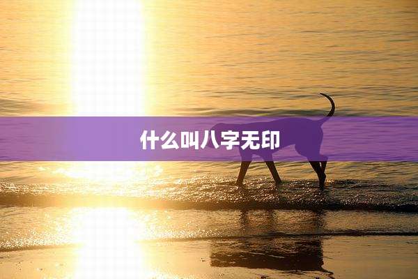 什么叫八字无印