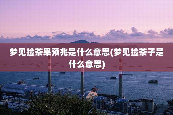 梦见捡茶果预兆是什么意思(梦见捡茶子是什么意思)