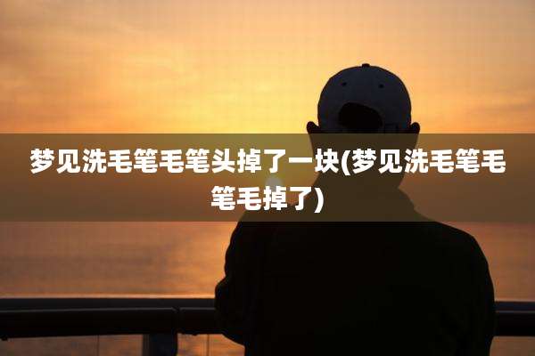 梦见洗毛笔毛笔头掉了一块(梦见洗毛笔毛笔毛掉了)