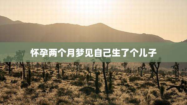 怀孕两个月梦见自己生了个儿子