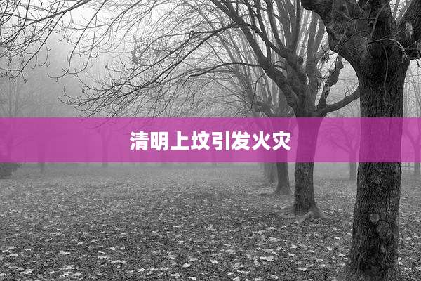 清明上坟引发火灾