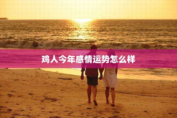 鸡人今年感情运势怎么样