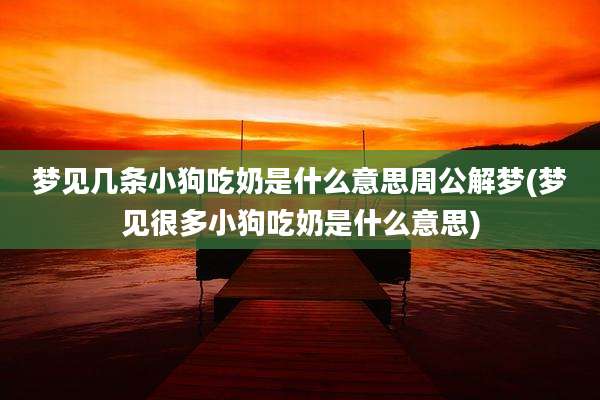 梦见几条小狗吃奶是什么意思周公解梦(梦见很多小狗吃奶是什么意思)