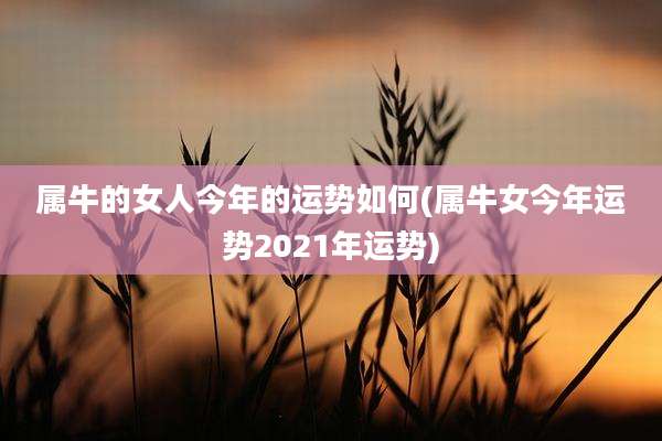 属牛的女人今年的运势如何(属牛女今年运势2021年运势)