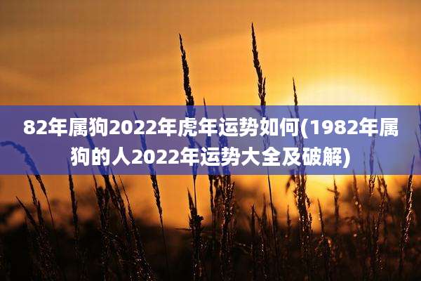 82年属狗2022年虎年运势如何(1982年属狗的人2022年运势大全及破解)