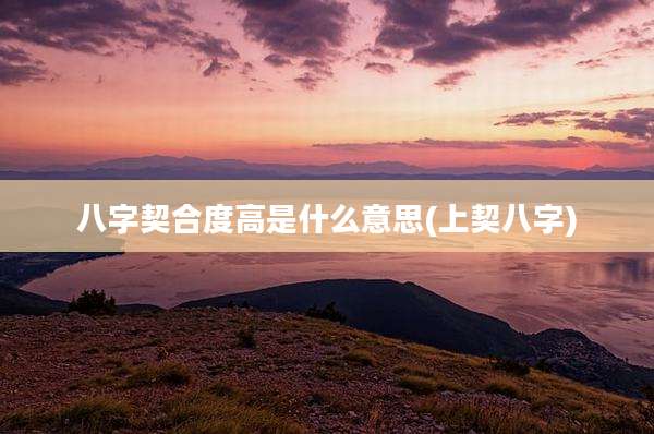 八字契合度高是什么意思(上契八字)