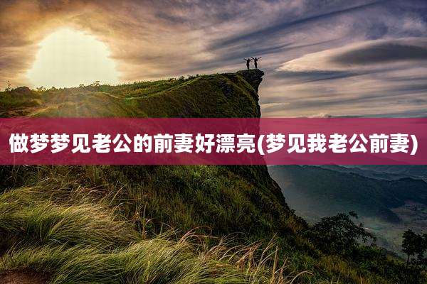 做梦梦见老公的前妻好漂亮(梦见我老公前妻)