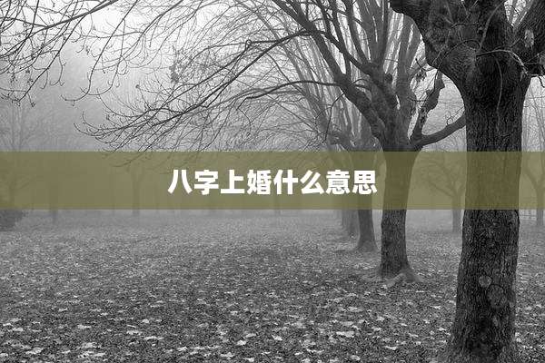 八字上婚什么意思