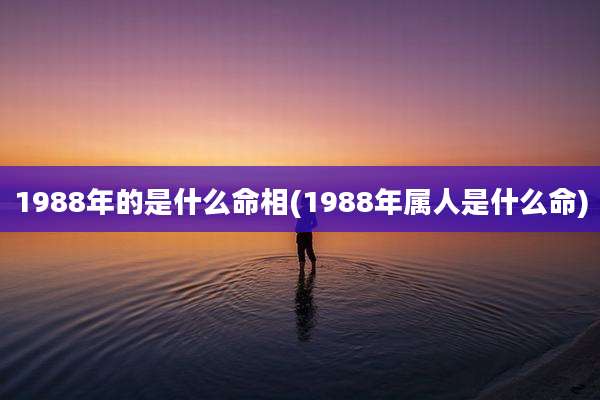 1988年的是什么命相(1988年属人是什么命)