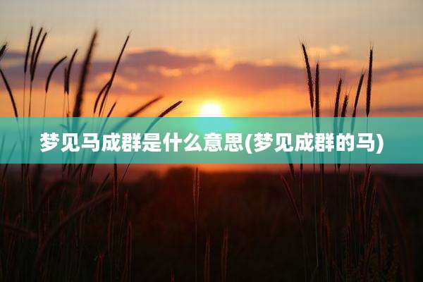 梦见马成群是什么意思(梦见成群的马)