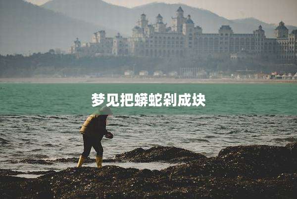 梦见把蟒蛇剁成块