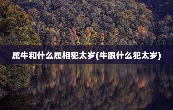 属牛和什么属相犯太岁(牛跟什么犯太岁)