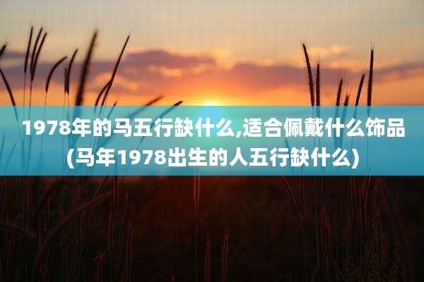 1978年的马五行缺什么,适合佩戴什么饰品(马年1978出生的人五行缺什么)