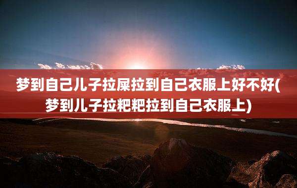 梦到自己儿子拉屎拉到自己衣服上好不好(梦到儿子拉粑粑拉到自己衣服上)