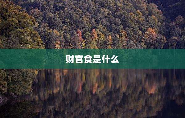 财官食是什么