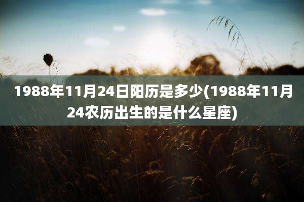 1988年11月24日阳历是多少(1988年11月24农历出生的是什么星座)