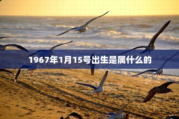1967年1月15号出生是属什么的
