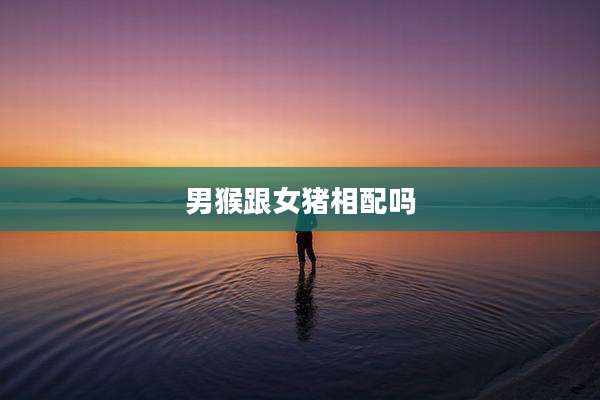 男猴跟女猪相配吗