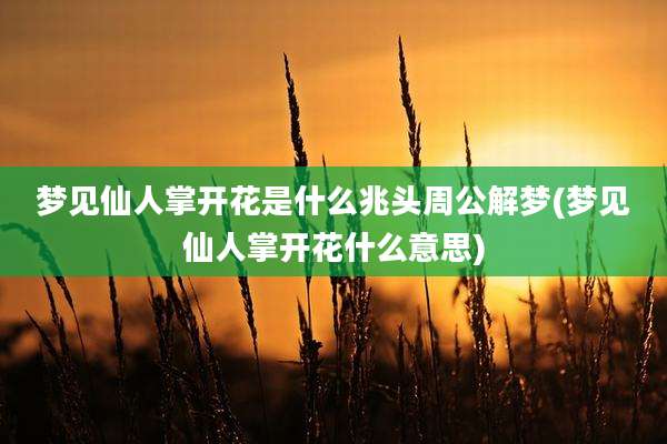 梦见仙人掌开花是什么兆头周公解梦(梦见仙人掌开花什么意思)