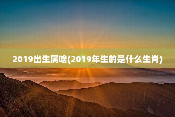 2019出生属啥(2019年生的是什么生肖)