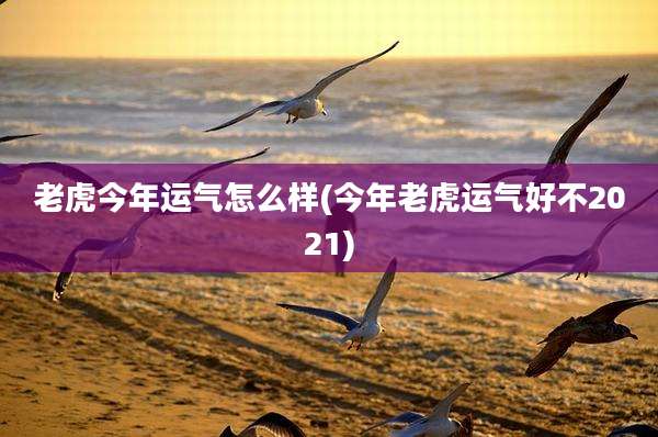老虎今年运气怎么样(今年老虎运气好不2021)