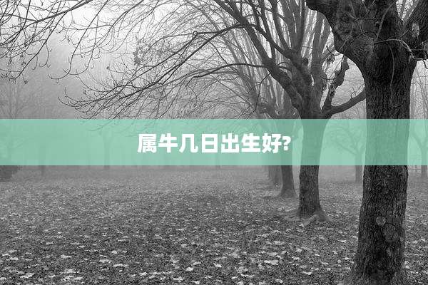属牛几日出生好?