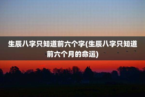 生辰八字只知道前六个字(生辰八字只知道前六个月的命运)