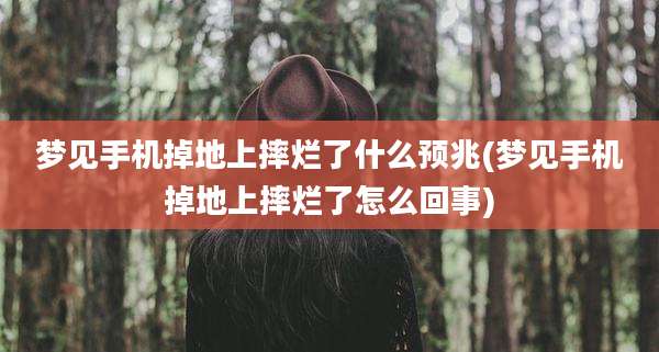 梦见手机掉地上摔烂了什么预兆(梦见手机掉地上摔烂了怎么回事)