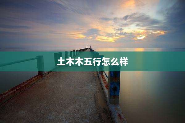 土木木五行怎么样