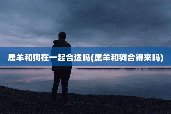 属羊和狗在一起合适吗(属羊和狗合得来吗)