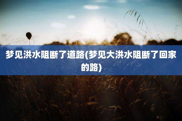 梦见洪水阻断了道路(梦见大洪水阻断了回家的路)