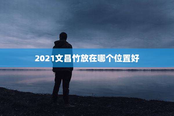 2021文昌竹放在哪个位置好