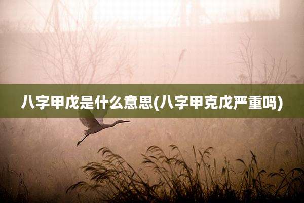 八字甲戊是什么意思(八字甲克戊严重吗)