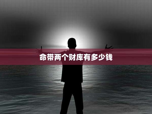命带两个财库有多少钱
