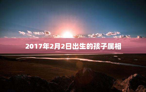 2017年2月2日出生的孩子属相
