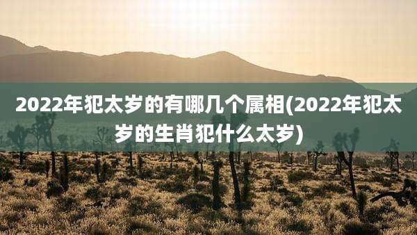 2022年犯太岁的有哪几个属相(2022年犯太岁的生肖犯什么太岁)