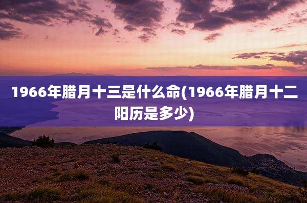 1966年腊月十三是什么命(1966年腊月十二阳历是多少)