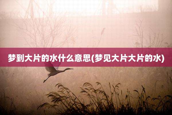 梦到大片的水什么意思(梦见大片大片的水)