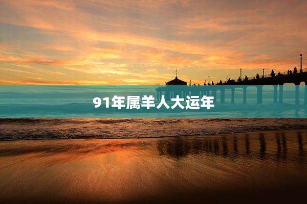 91年属羊人大运年