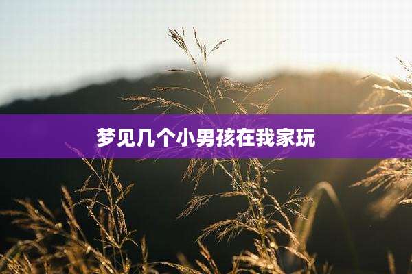 梦见几个小男孩在我家玩