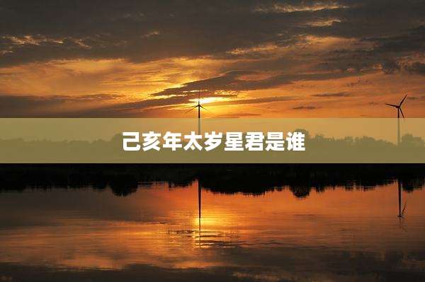己亥年太岁星君是谁