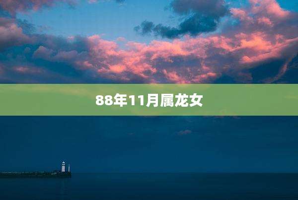 88年11月属龙女