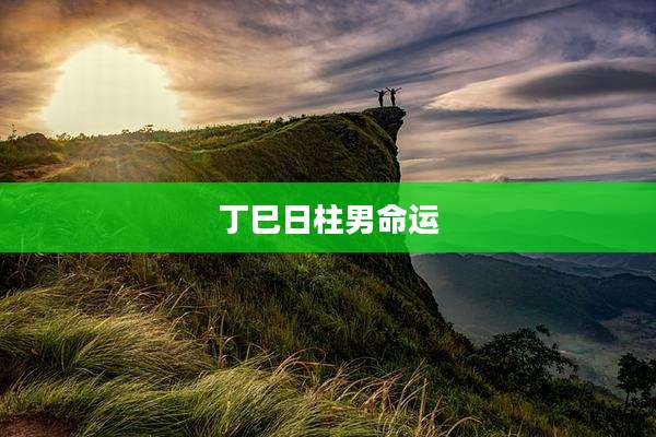 丁巳日柱男命运